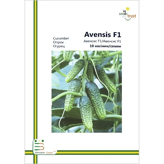 Огурец Авенсис F1 партенокарпический 10 семян европакет, Империя Семян