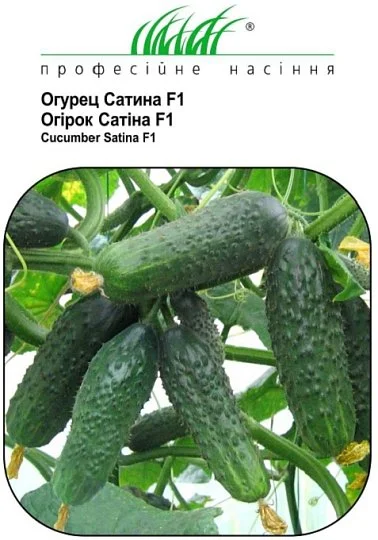 Огурец Сатина F1 50 семян партенокарпический ранний, Nuhmens Zaden - Фото 2