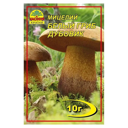 Мицелий Белый гриб Дубовик 10 г, Насіння Країни