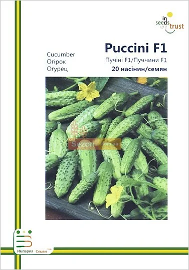 Огурец Пуччини F1 партенокарпический среднеспелый 20 семян европакет, Империя Семян - Фото 2