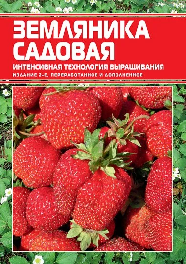 Земляника садовая: интенсивная технология выращивания