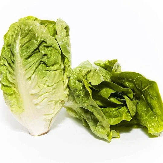 Ромен салат Літл Джем міні 0,3 г, Hem Zaden - Фото 2