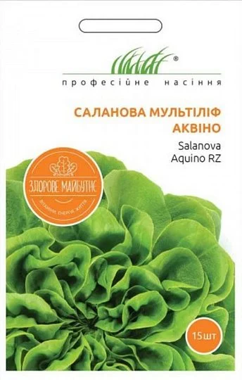 Салат Аквино 15 дражированных семян саланова мультилиф, Rijk Zvaan