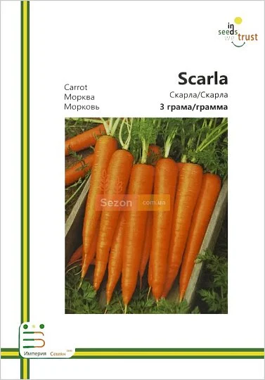 Морковь Скарла поздняя 3 г европакет, Империя Семян - Фото 2