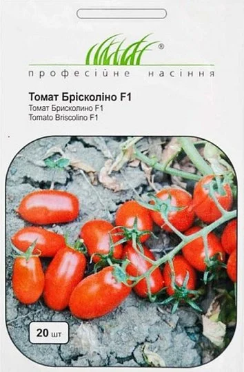 Томат Брисколино F1 20 семян черри кустовой ранний, Unigen Seeds