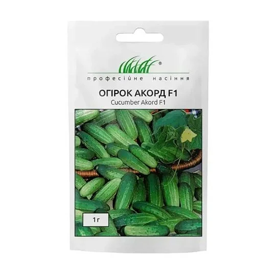 Огурец Аккорд F1 1 г пчелоопыляемый, Bejo Zaden