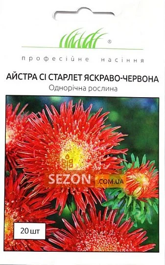 Астра китайська Сі Старлет 20 насіння червона, Satimex - Фото 2