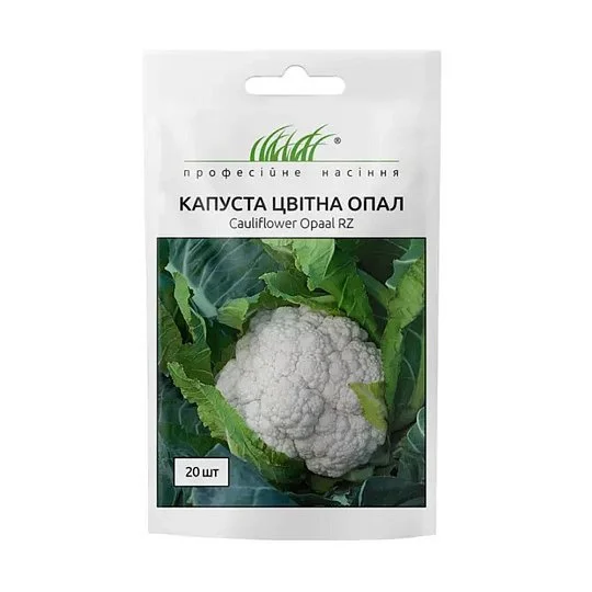 Капуста Опал 20 насіння кольорова рання, Rijk Zvaan