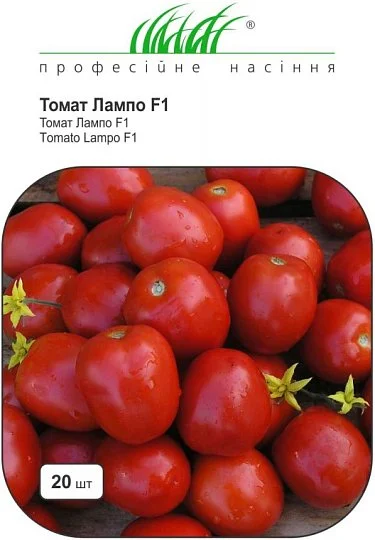 Томат Лампо F1 20 насінин для переробки ранній кущовий, Nunhems Zaden