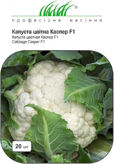 Капуста Каспер F1 20 насіння кольорова середньостигла, Rijk Zvaan - Фото 2
