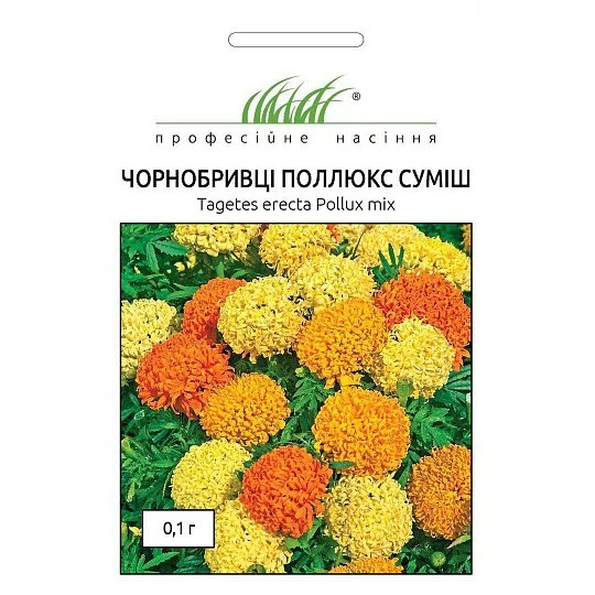 Чорнобривці прямостоячі Поллюкс 0,1 г суміш, Hem Zaden
