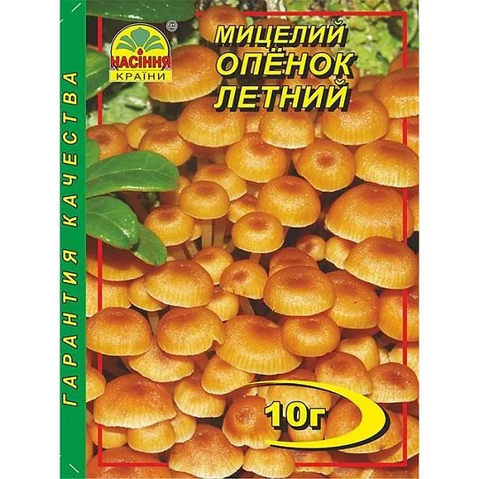 Міцелій Опенок літній 10 г, Насіння України - Фото 2