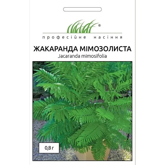 Жакаранда мимозолистная 0,8 г, Hем Zaden