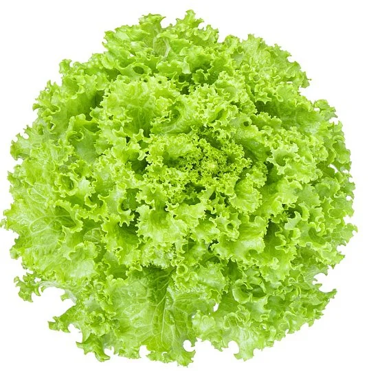 Салат Одеський Кучерявець на вагу, Агролінія