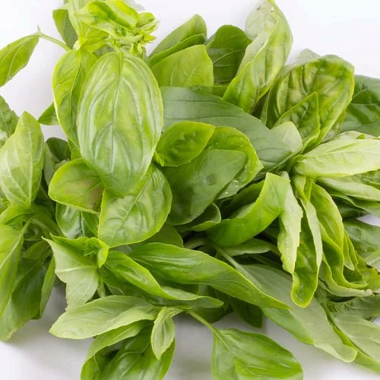 Тонус базилік зелений на вагу, Агролінія.