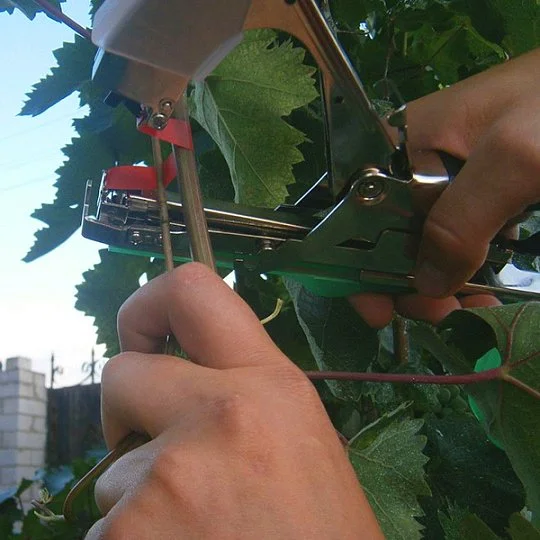 Степлер для связывания веток винограда и овощей, Оазис - Фото 3
