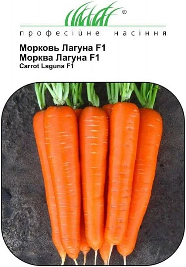 Морковь Лагуна F1 400 семян ранняя, Nunhems Zaden