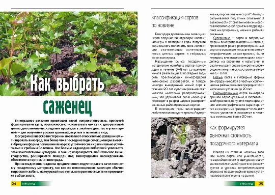 Виноград и виноделие: практическое пособие - Фото 4