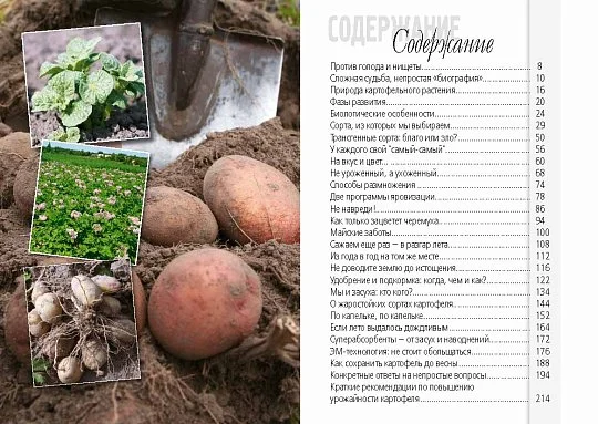 Картопля: нові сорти та технології - Фото 3