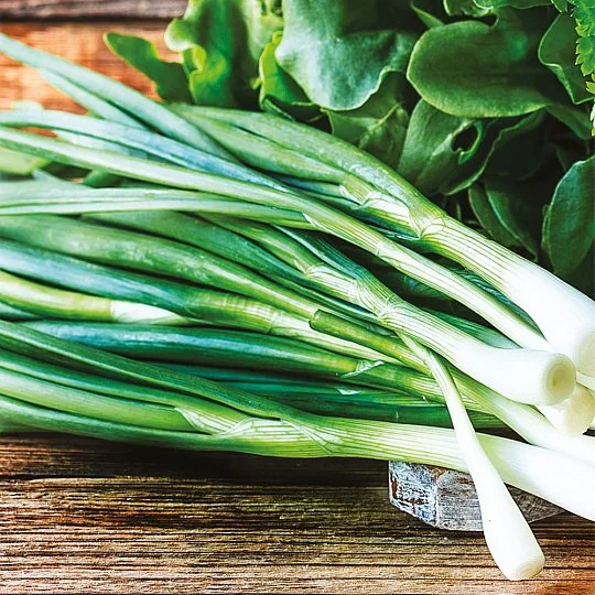 Лук Батун на вагу, Агролінія