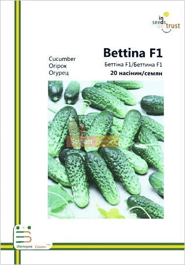 Огурец Бетина F1 партенокарпический ранний 20 семян европакет, Империя Семян - Фото 2