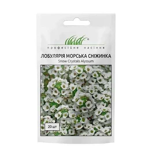 Лобулярія Морська Сніжинка 20 шт, Pan American flowers