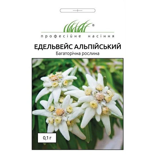Эдельвейс альпийский 0,1 г белый, Hем Zaden