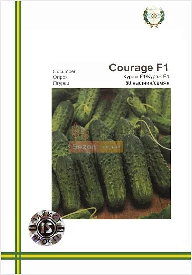 Огурец Кураж F1 самоопыляемый ранний 50 семян европакет, Империя Семян - Фото 2