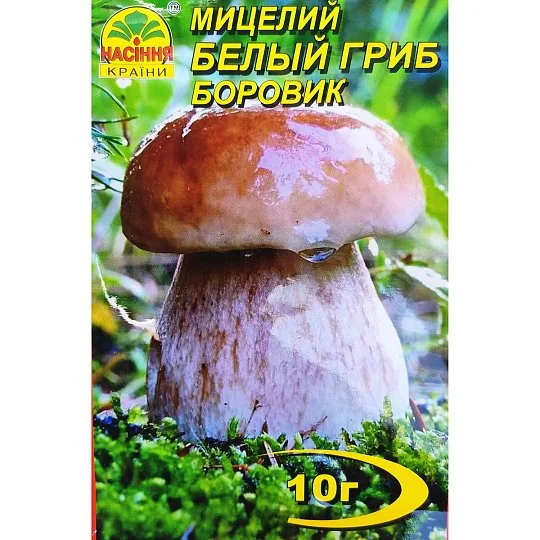 Мицелий Белый гриб Боровик 10 г, Насіння Країни - Фото 2