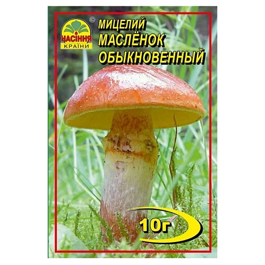 Міцелій Маслянок звичайний 10 г, Насіння України