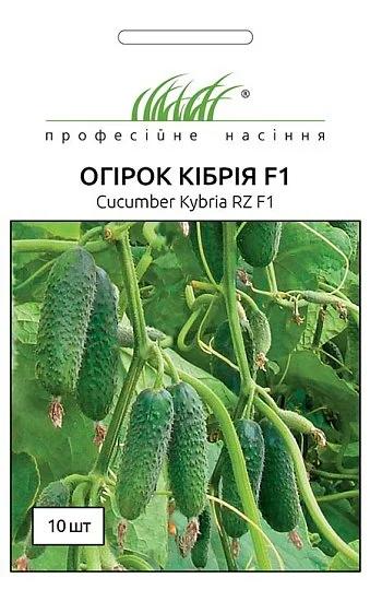 Огурец Кибрия F1 10 семян партенокарпический ранний, Rijk Zvaan