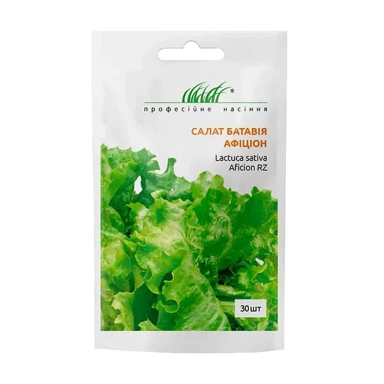 Салат Афицион 30 шт батавия, Rijk Zwaan