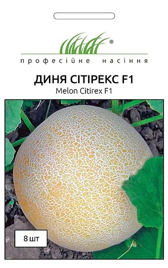 Дыня Ситирекс F1 8 семян ранняя, Tezier