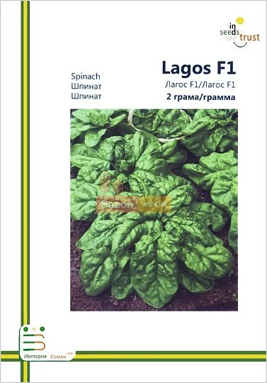 Шпинат Лагос F1 2 г европакет, Империя Семян - Фото 2