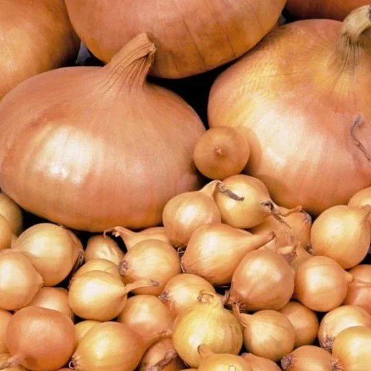 Радар 500 г цибуля арбажейка сівок, Broer