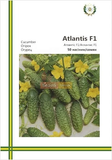 Огурец Атлантис F1  пчелоопыляемый ранний 50 семян европакет, Империя Семян - Фото 2