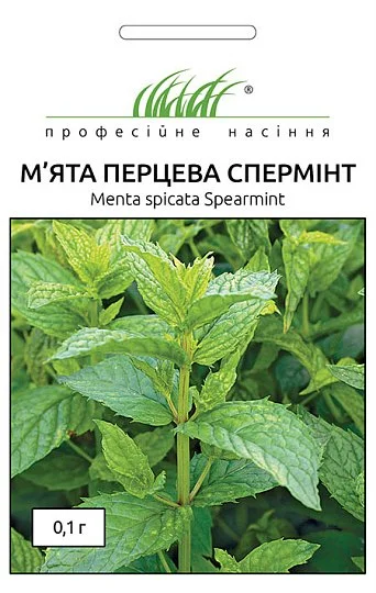 М'ята перцева Спермінт 0,1 г, Hем Zaden