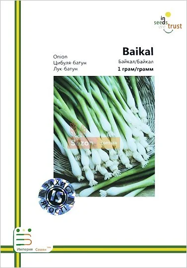 Лук-батун Байкал 1 г европакет, Империя Семян - Фото 2