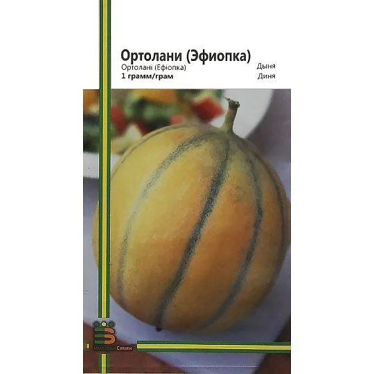 Дыня Ортолани (Эфиопка) 1 г ранняя, Империя Семян
