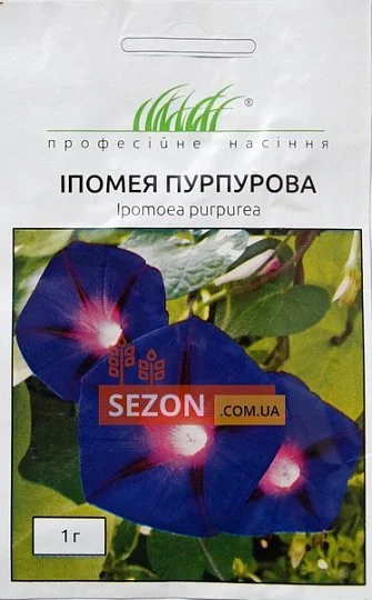 Іпомея пурпурна 1 г, Hем Zaden - Фото 2