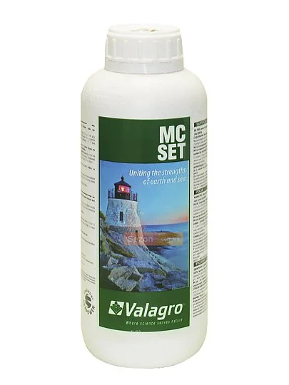 Максикроп Завязь 1 л стимулятор цветения и завязи плодов, Valagro - Фото 2