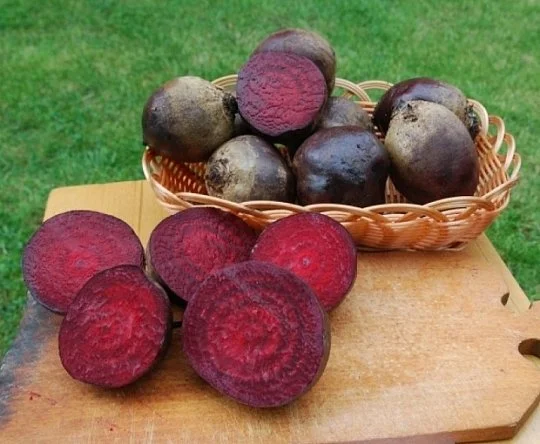 Буряк Ред Бул 20 г столовий округлий середньоранній, Unigen Seeds