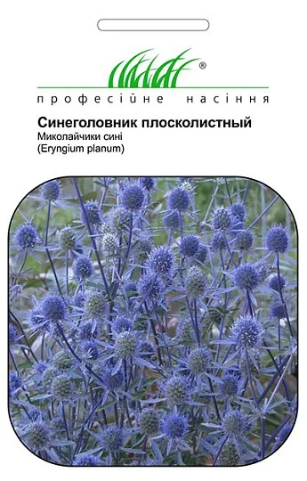 Синеголовник плосколистный 0,2 г, Hем Zaden