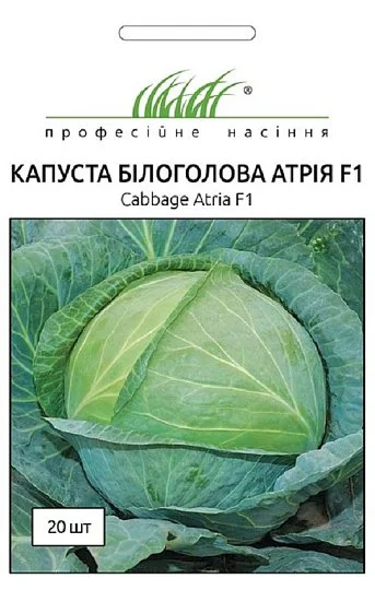 Капуста Атрия F1 20 семян белокочанная, Seminis - Фото 2