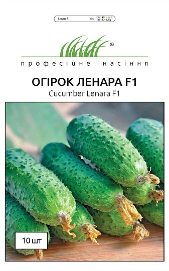 Огурец Ленара F1 10 шт партенокарпический ранний, Rijk Zvaan