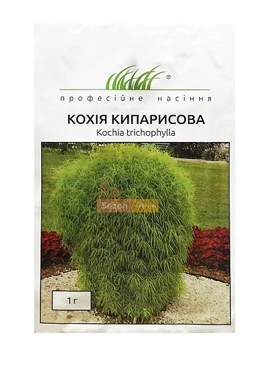 Кохія кипарисова 1 г, Hем Zaden - Фото 4