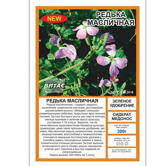 Редька масличная 0,5 кг зеленое удобрение, Витас - Фото 2