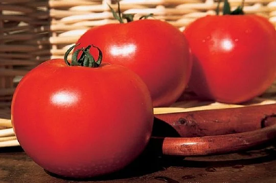 Биг Биф F1 томат 500 семян крупноплодный высокорослый среднеранний, Seminis