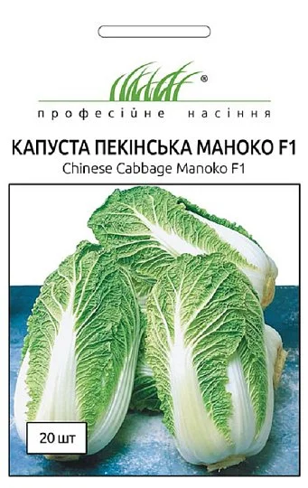 Капуста Маноко F1 20 насінин пекінська ультрарання, Bejo Zaden - Фото 2