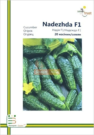 Огурец Надежда F1 пчелоопыляемый ультраранний 20 семян европакет, Империя Семян - Фото 2